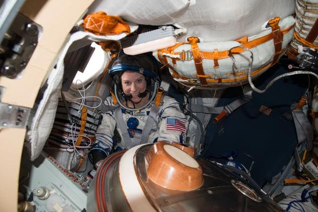NASA image: iss049e040733