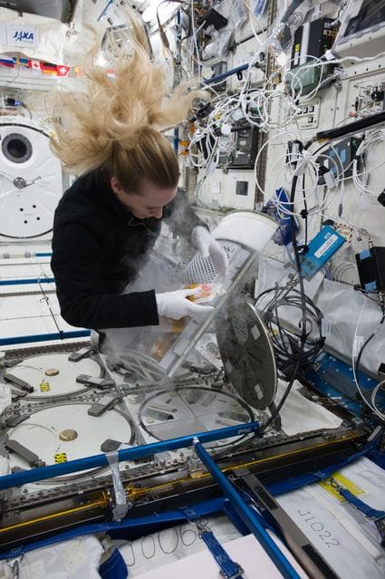 NASA image: Handover of PCMs and experiment samples to Russian crew
