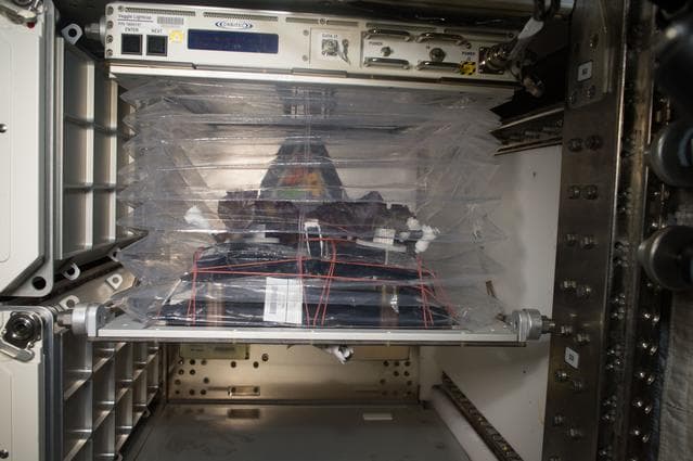 NASA image: VEG-03