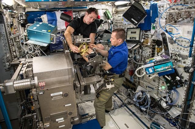 NASA image: Sarcolab-3 Experiment