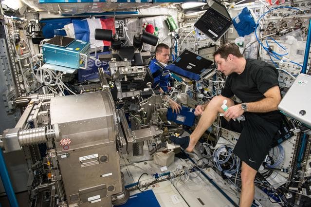 NASA image: Sarcolab-3 Experiment