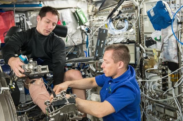 NASA image: Sarcolab-3 Experiment