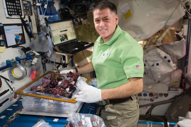 NASA image: VEG-03
