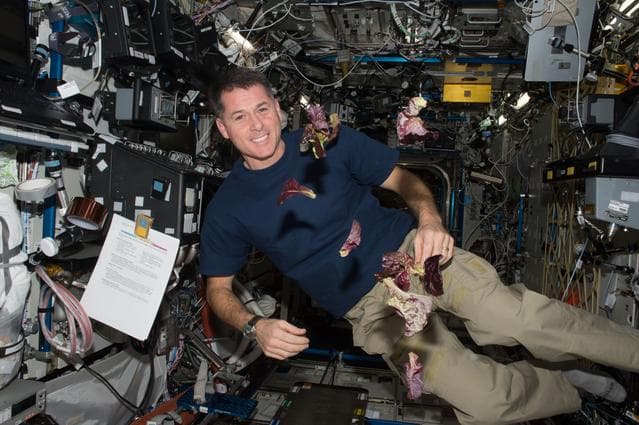 NASA image: VEG-3