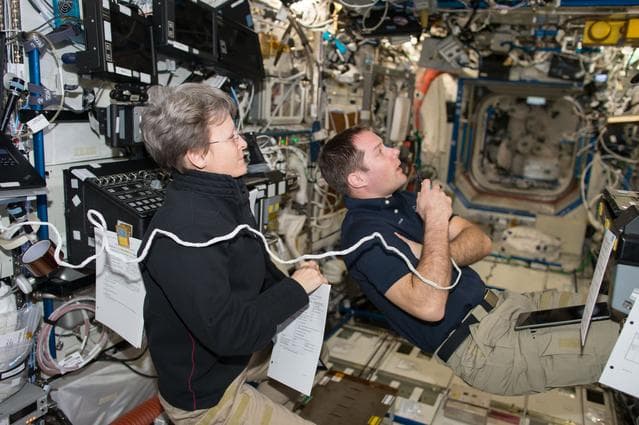 NASA image: iss050e039517