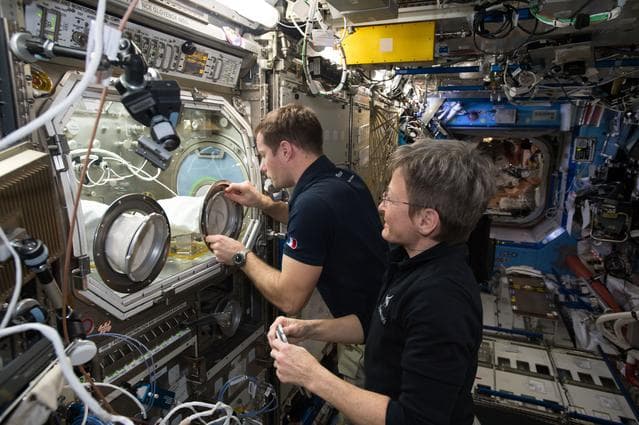 NASA image: iss050e042164