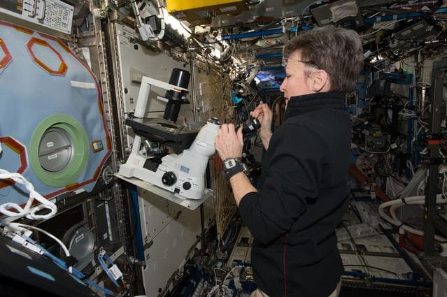 NASA image: MESC Payload Setup