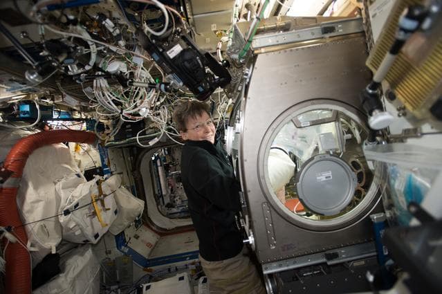 NASA image: Microgravity Expanded Stem Cells Experiment
