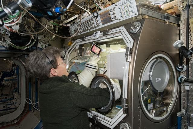 NASA image: MESC MSG Clean Up