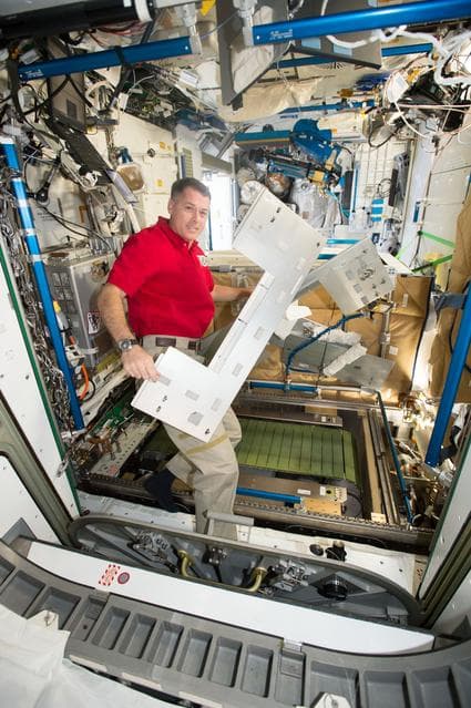 NASA image: iss050e055950