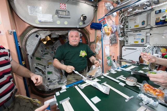 NASA image: iss051e029147