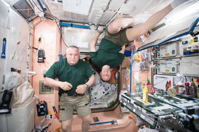 NASA image: iss051e029165