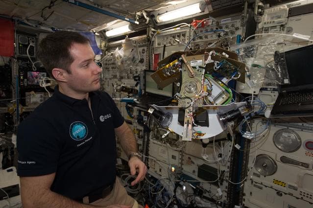 NASA image: Pesquet conducts FLUIDICS Experiment OPS