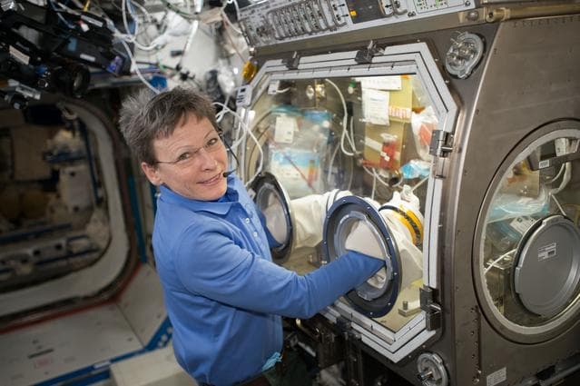 NASA image: Whitson conducts OsteoOmics OPS in MSG
