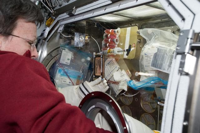 NASA image: Whitson conducts OsteoOmics OPS in MSG