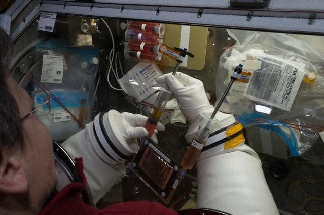 NASA image: OsteoOmics OPS in MSG