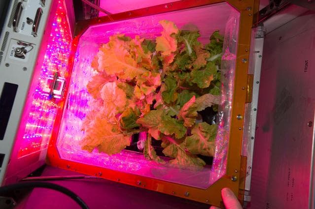 NASA image: iss051e038158