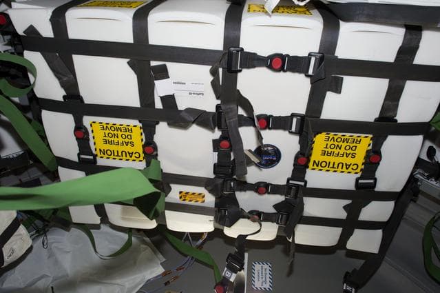 NASA image: Saffire-II in Cygnus OA-7 during Cargo Transfer OPS
