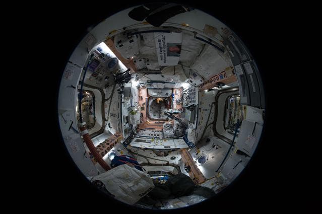 NASA image: Google Street View Image in Node 1