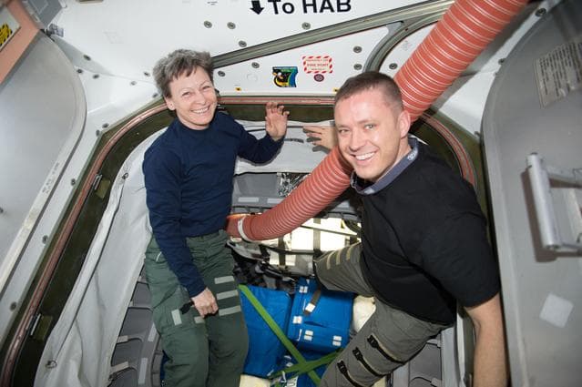 NASA image: iss052e002382