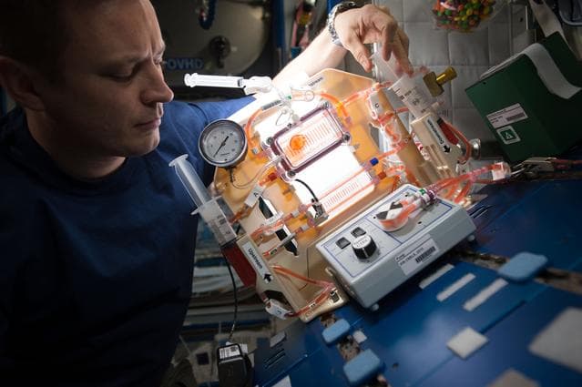 NASA image: Capillary Structures for Exploration Life Support (Capillary Structures)