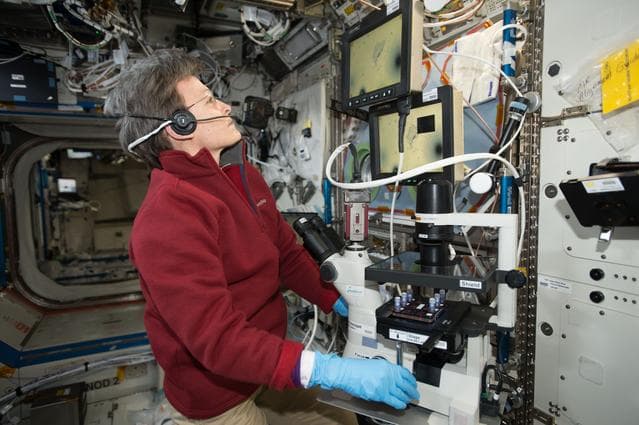 NASA image: Magnetic 3D Cell Culturing