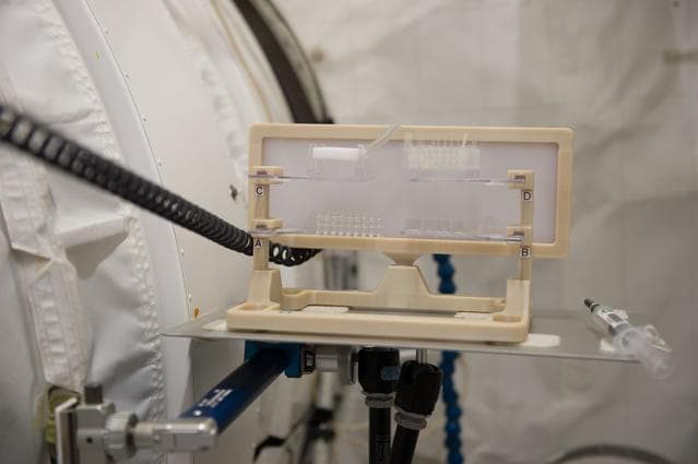 NASA image: Capillary Structures