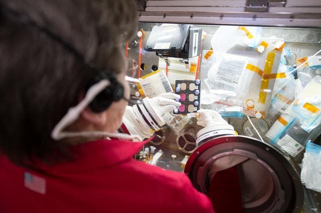 NASA image: ADCs in Microgravity (CASIS)