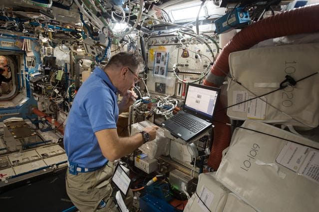 NASA image: IN SITU