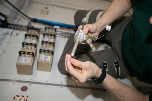 NASA image: Biological Research in Canisters-22 (BRIC-22)