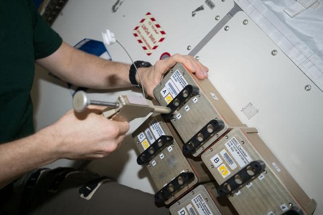NASA image: Biological Research in Canisters-22 (BRIC-22)