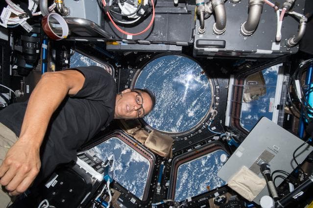 NASA image: iss053e028974