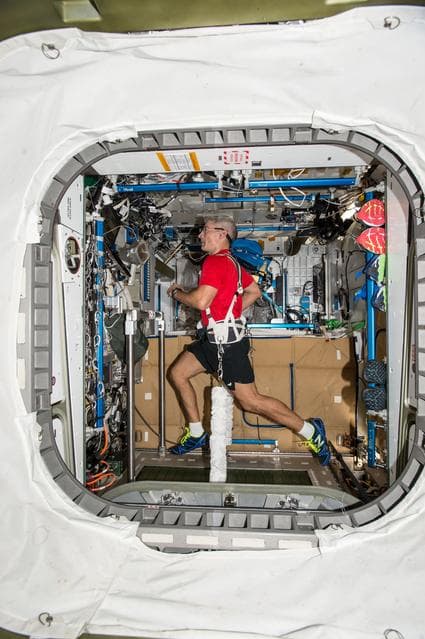NASA image: Vande Hei exercises on COLBERT/T2 Treadmill