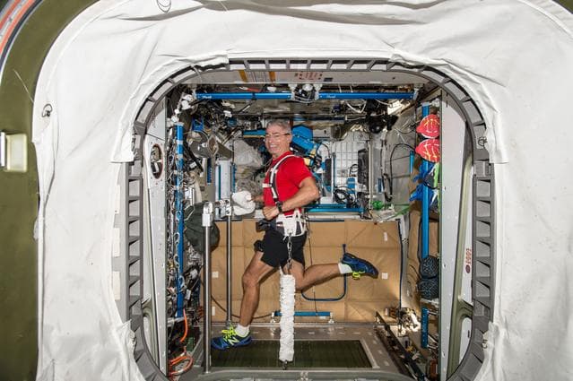 NASA image: Vande Hei exercises on COLBERT/T2 Treadmill