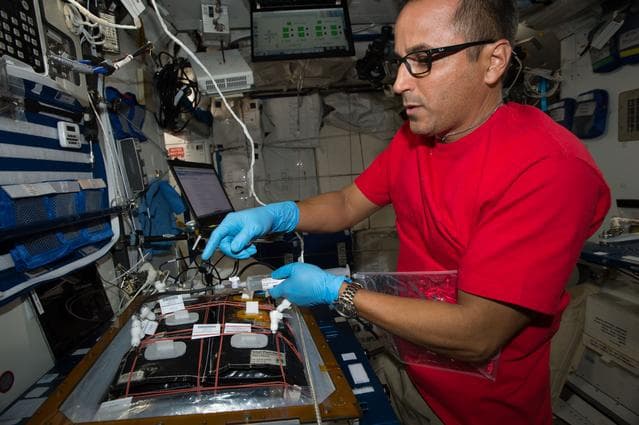NASA image: VEG-03