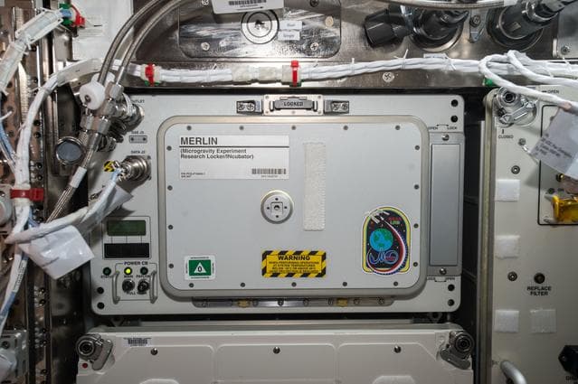 NASA image: MERLIN Sample Transfer
