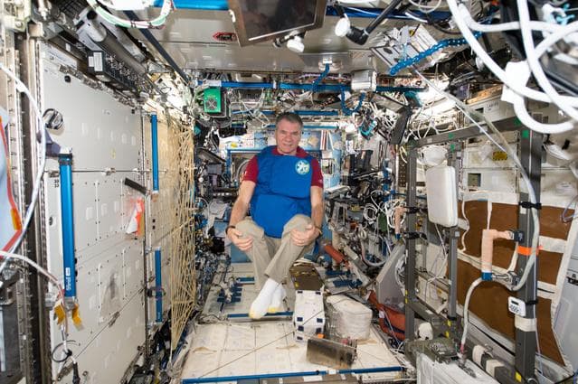 NASA image: iss053e238891