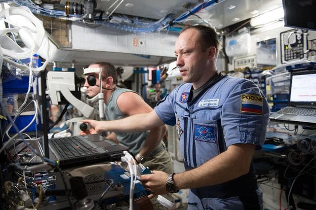NASA image: iss053e238919