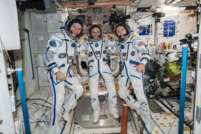NASA image: iss053e303563