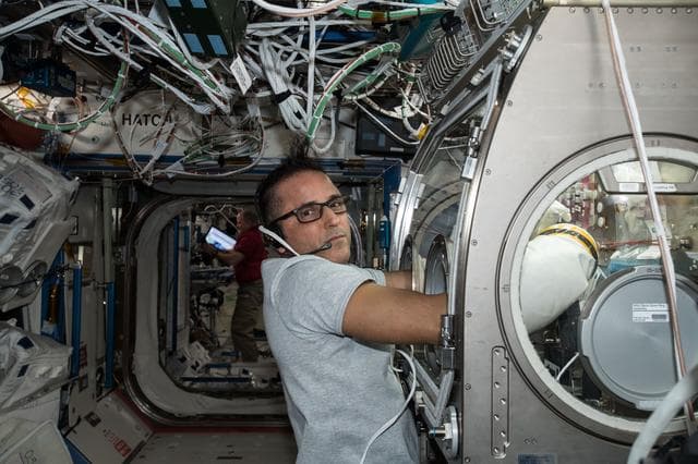 NASA image: Acaba conducts Synthetic Bone Experiment OPS