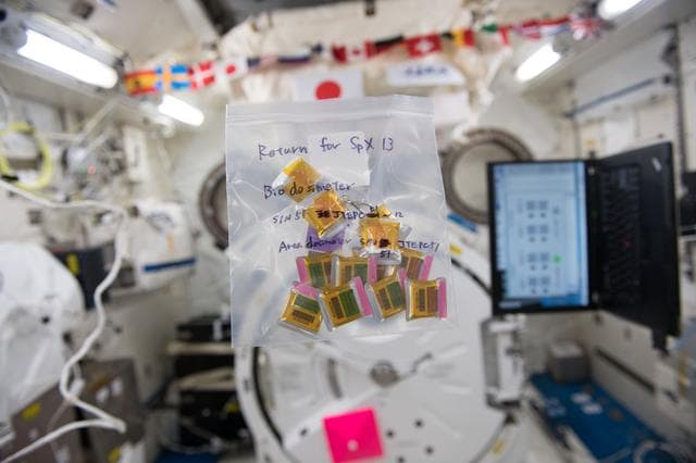 NASA image: J-TEPC Dosimeter Removal