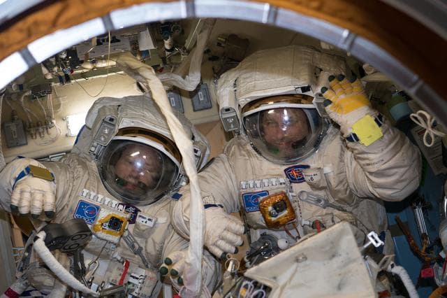 NASA image: iss054e026563