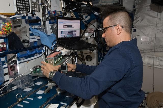 NASA image: Acaba conducts Plant Gravity Perception Experiment OPS