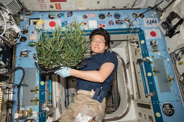 NASA image: Plant Habitat