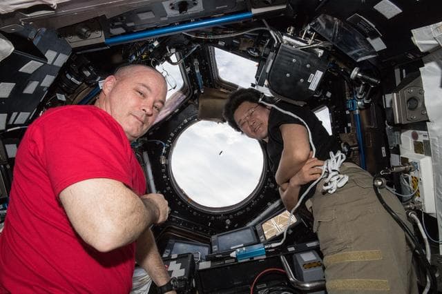 NASA image: iss055e009925
