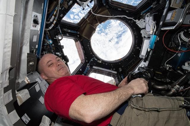 NASA image: Spacex 14 Dragon spacecraft arrival