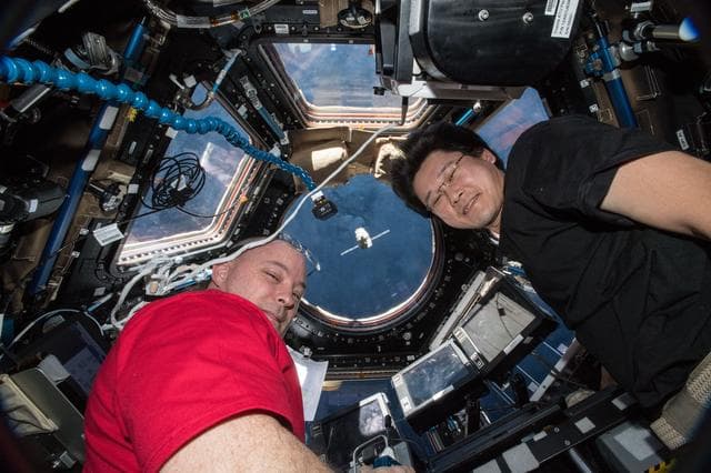 NASA image: iss055e009938