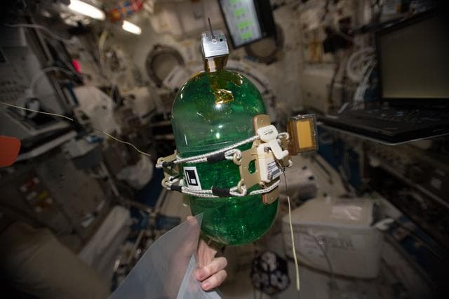 NASA image: SPHERES Tether Slosh