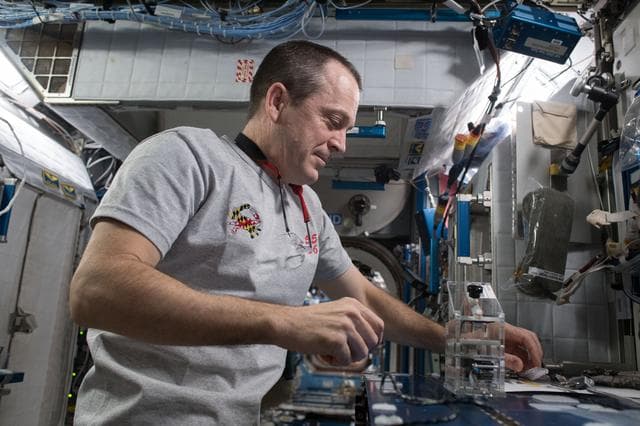NASA image: Genes in Space-5