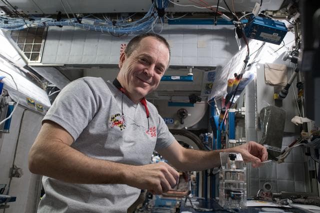 NASA image: Genes in Space-5